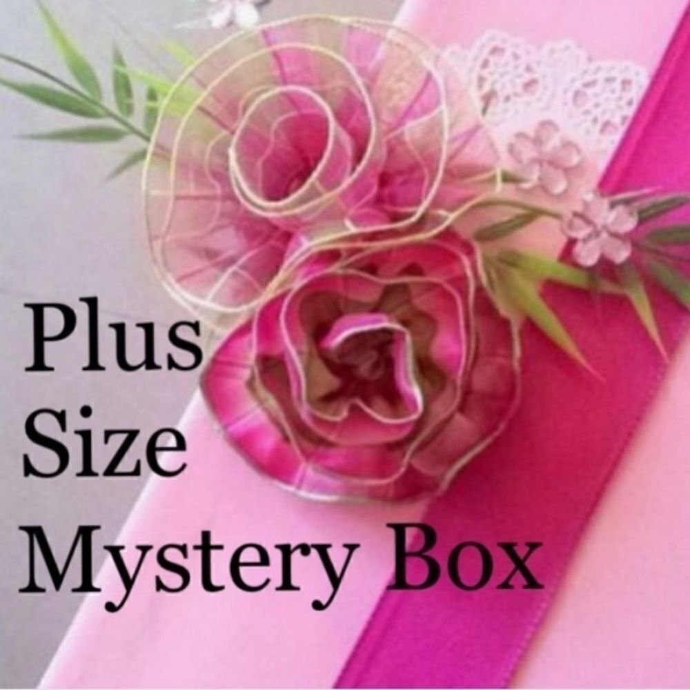 Plus Size Mystery Box BACK IN STOCK💕💕 Torrid Lane Bryant Old Navy Etc!